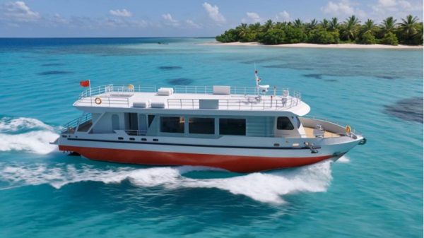 1774922188343251.jpg 图片2.jpg